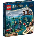 LEGO® Harry Potter™ - Trimágus Tusa: A Fekete tó 76420